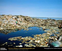 #EcoWed: Plastic bag bans worldwide round up