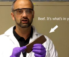 (Video) Canadian scientists turn beef carcass into plastic #EcoMonday