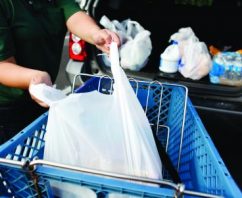 Big Island Bans Plastic Bags