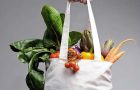 Students Promote Reusable Grocery Bags