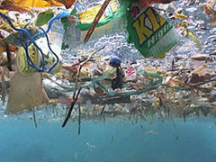 The Great Pacific Garbage Patch