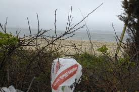 South Hampton Bans Plastic Bags