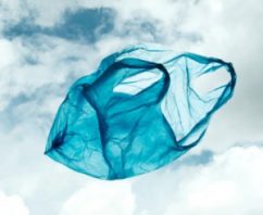 Windham Weighs Bag Ban