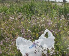 Illinois’ Law to Recycle Instead of Ban Plastic Bags