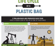 Reusable Grocery Bags? Infographic Shows It’s Time to Make The Switch