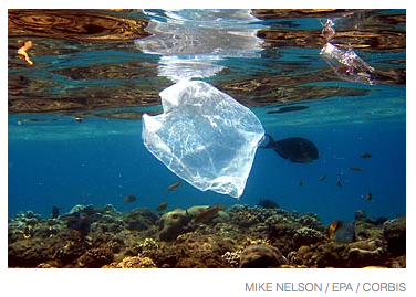 7 Solutions to Ocean Plastic Pollution  Oceanic Society