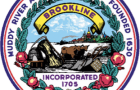 Brookline Bans Disposable Plastic Bags and Styrofoam Food Containers