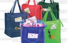 Oldest City in U.S. Passes Voluntary Plastic Bag Ban