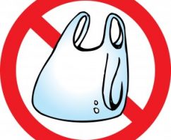 Latest News on Bag Bans Around the World