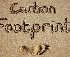 3 Ways to Reduce Your Carbon Footprint at Work