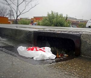 Plastic bag litter is an eye sore 