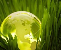 5 Reasons Sustainability is Important for Your Next Promotional Product