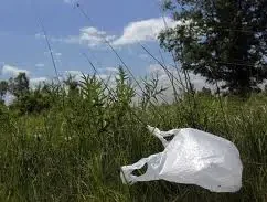 How Do Single Use Plastic Bags Harm the Environment?