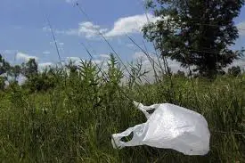 Discarded litter single use plastic bag sitting in green grass