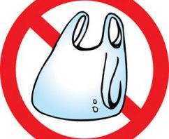 Latest News on Bag Bans Around the World