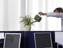 How to Go Green at the Office