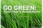 How to Be Green in 2014