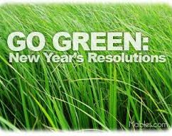 How to Be Green in 2014