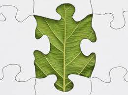 Leaf Puzzel Piece