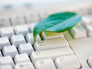 leaf keyboard