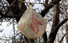 March Madness! Why Using Single Use Plastic Bags Is Just Plain Crazy