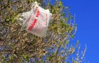 Single-Use Plastic Bags Banned In the U.S.