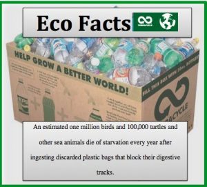 eco fact - litter