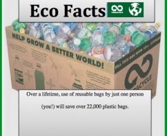 5 Eco Facts That Will Blow Your Mind