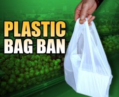 Why Are Single-Use Plastic Shopping Bags Being Banned Around the World?