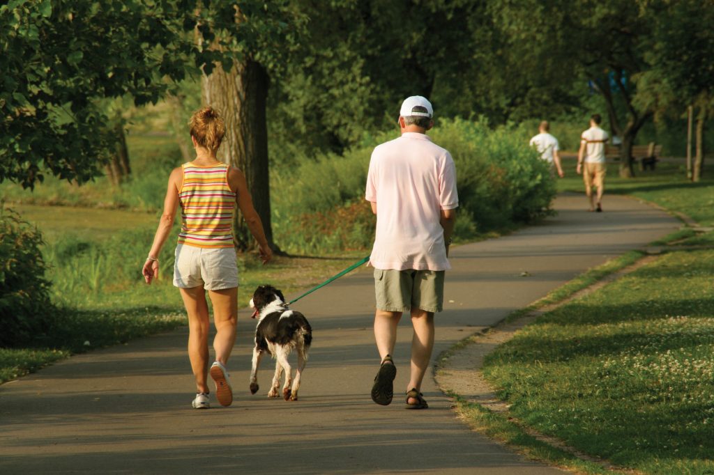 How to Green Your Summer? Walk Instead of Driving a Car