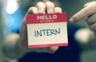 How to Find Green Summer Jobs and Internships