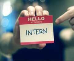 How to Find Green Summer Jobs and Internships