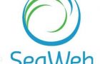 Top 5 Non-Profits That Help Wildlife