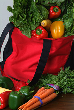 Get The Facts on Reusable Grocery Bags!