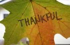 5 Reasons to Be Thankful for Reusable Bags