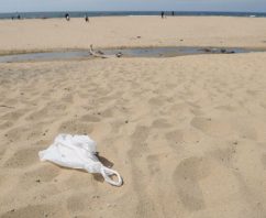 Latest Developments in California Bag Ban