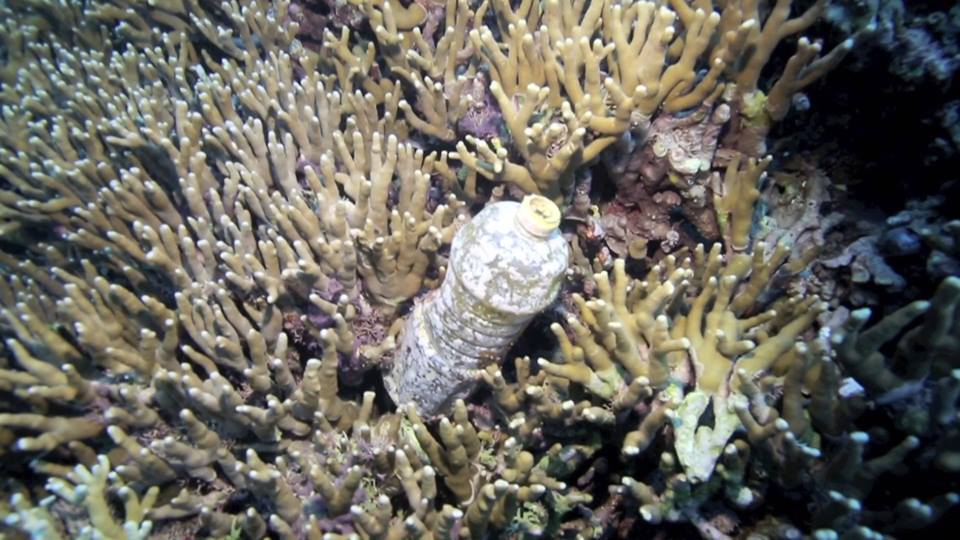 bottle in ocean