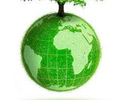 Top 5 Green Business Blogs We Love