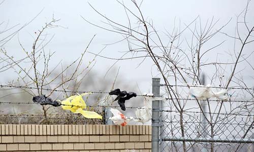 Disposable Plastic Bag Fee Overturned in Dallas