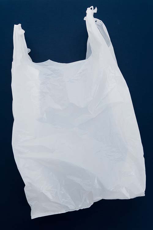 Disposable single use plastic bag