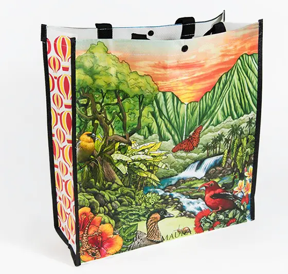 Oahu Bag Ban Inspires Tote Bag Fundraiser for Children's Miracle Network