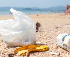 Bag Ban in Puerto Rico…What Your Business Needs to Know