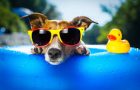 3 Cool Ideas for Summer Marketing