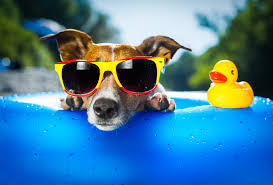 3 Ideas for Summer Marketing Initiatives 