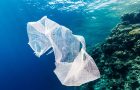 How Much Plastic Is Really In Our Oceans?