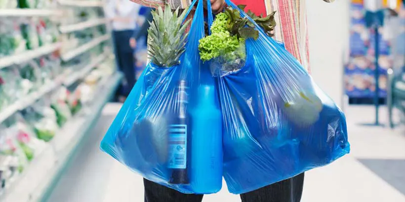 Shopper holding two single use grocery bags filled with groceries