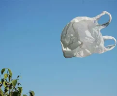 Chicago Plastic Bag Ban Improves with Checkout Bag Tax