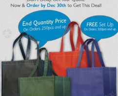 End of Year Blowout on Reusable Shopping Bags