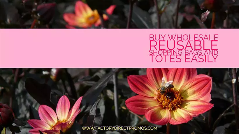 How to fly on colorful flower with caption: Buy Wholesale Reusable Shopping Bags and Totes
