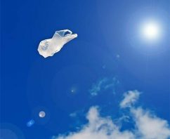 Positive and Negative Impacts of Existing Plastic Bag Bans